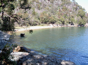 Boat hire Pittwater Hungry beach