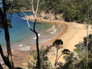Boat hire Pittwater Flint and Steel beach