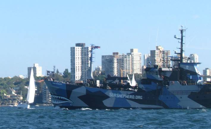 Sea Shepherd leaves Sydney Harbour