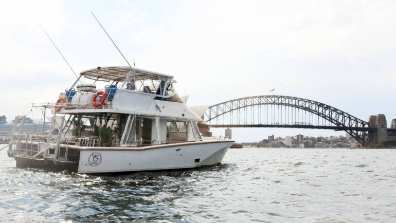 Curious George Boat Hire