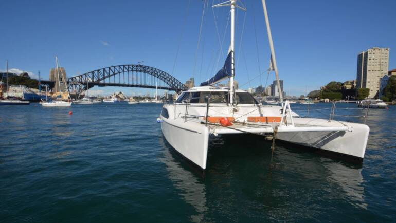 Delphinus Catamaran